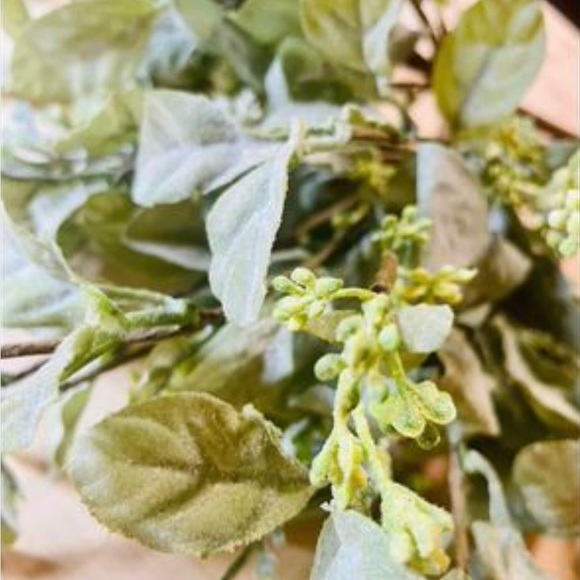 *Mixed Lamb’s Ear Pick, 17” - Picture 3 of 10